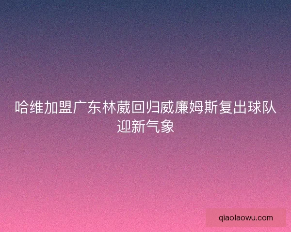 哈维加盟广东林葳回归威廉姆斯复出球队迎新气象