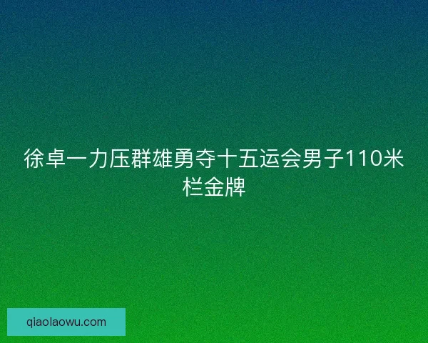 徐卓一力压群雄勇夺十五运会男子110米栏金牌 徐卓一力压群雄勇夺十五运会男子110米栏金牌